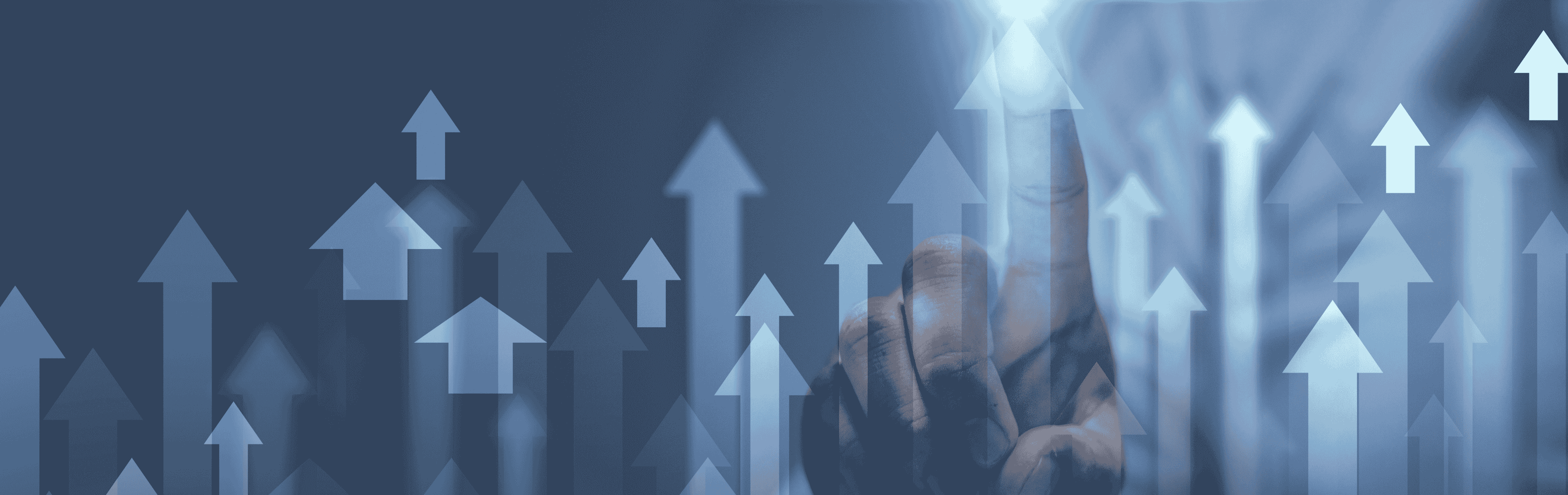 Count Section Background